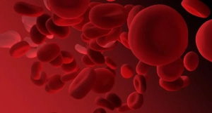 Hematoloji Nedir?