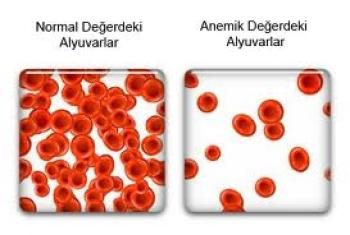 Hematoloji kelimesinin kökleri nerden gelir?